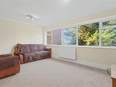 Picture 4